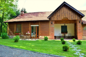 Apartman Katruža